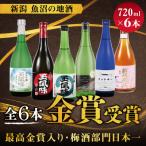 全6本金賞受賞酒 720ml×6本セット