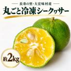 丸ごと冷凍シークヮサー約2kg