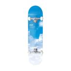 INFINITY SKATEBOARDS