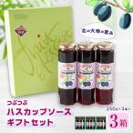 つぶつぶハスカップソース セット 250g×9本