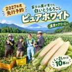 富士山麓が育てた 白いとうもろこし ピュアホワイト