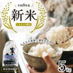 くまさんの輝き 5kg