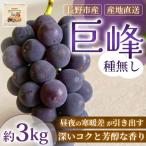 巨峰 種無し 3kg