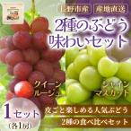 2種 シャインマスカット クイーンルージュ 各1房 1セット