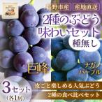 巨峰 ナガノパープル 種無し 各1房 3セット
