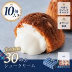 冷凍シュークリーム10個