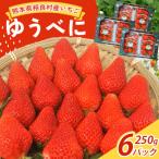 いちご ゆうべに 250g×6P