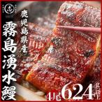 霧島湧水鰻の蒲焼き約156g×4尾 計約624g