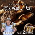 阿蘇 原木乾燥しいたけ大玉200g