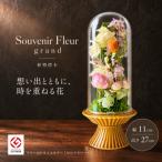 植物標本 Souvenir Fleur grand