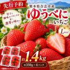 ゆうべに 約1.4kg