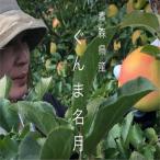 甘くてシャキシャキ りんご ぐんま名月 5キロ