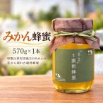 純粋はちみつ みかん蜂蜜 570g