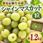 シャインマスカット 粒 約1.2kg