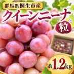 クイーンニーナ 粒 約1.2kg
