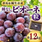 種なし ピオーネ 粒 約1.2kg