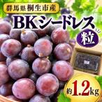 BKシードレス 粒 約1.2kg