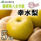 幸水梨 5kg