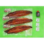 ひじまちのうなぎ 蒲焼120g×3尾 汽水養殖