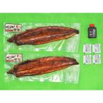 ひじまちのうなぎ 蒲焼140g×2尾 汽水養殖