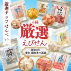 厳選チップせんべい6種