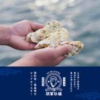 朋輩牡蠣 生食用 予定