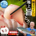 鰤王 スキンレスロインハーフ 2P 鰤王しょう油付