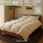 ダウン85% 1.0kg