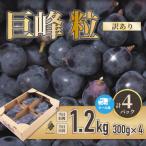 巨峰 粒 約1.2kg