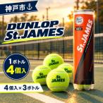 ダンロップ セント ジェームス 4個入×3ボトル