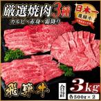 飛騨牛 焼肉3種 カルビ 赤身 霜降り 計3kg