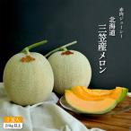 ふるさと納税 三笠市 《2025年分受付中》とろける食感と甘い香り北海道三笠メロン2玉(2.6kg以上)【0100101】