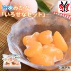 <冷凍みかん いろせなセット > 柑橘 フルーツ 果物 果実 食べ比べ