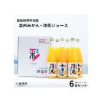 西宇和産温州みかん 清見ジュース6本セット
