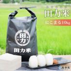 <令和7年産:田力米 にこまる 10kg>