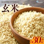 お米 コメ ご飯 ライス 穀物 こしひかり コシヒカリ