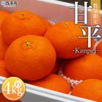 ふるさと納税 西予市 甘平4kg(数量限定)