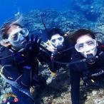 ~さぁ徳之島の海へ旅しよう~ダイビング体験