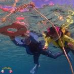 ~キラキラ輝く徳之島の海を満喫~ボートで向かうサンゴ礁ス…