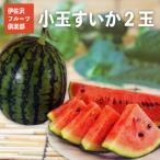 fu.... налог длина . город [2026 год отправка ]... фрукты клуб. маленький шар ...2 шар _H098(R8)