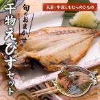 ふるさと納税 天草市 天草・牛深 しもむらのひもの 旬のおまかせ干物えびすセット_S009-001
