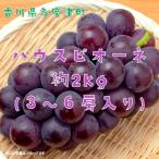 ハウスピオーネ 約2kg