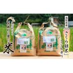 鹿野のさくら姫米 6kg