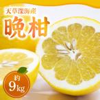 晩柑 約9kg_S062-001A