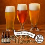 ふるさと納税 滝川市 滝川クラフトビール3種6本セット