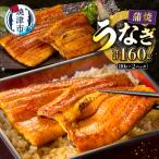 静岡うなぎ漁協 うなぎ蒲焼セット 鰻 ウナギ