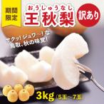 訳あり 王秋梨 3kg