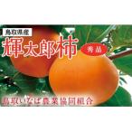 輝太郎柿 3キロ
