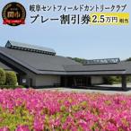 プレー割引券×25枚