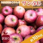 ご 訳ありリンゴ サンふじ 約10kg_H085
